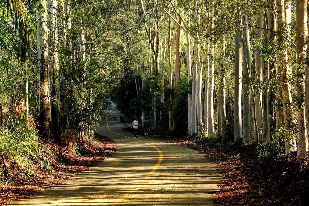 Pousada Sitio Do Sossego Monte Alegre do Sul Luaran gambar